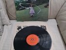 Trees LP On The Shore UK CBS 1st Press  ACID FOLK 1970 vinyl record