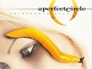 A Perfect Circle Thirteenth Step  (Vinyl)  12