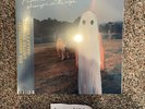 Phoebe Bridgers Stranger In The Alps 5th Anniversary Galaxy Vinyl SHIPS TODAY
