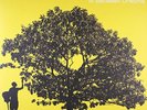 Jack Johnson In Between Dreams  (Vinyl)  12