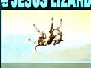 The Jesus Lizard - Down [Remastered] [Bonus Tracks] [Deluxe Edition] [New Vinyl