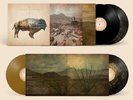 Heartless Bastards - Arrow [New Vinyl LP] Black, Colored Vinyl, Gold, Anniversar