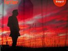 Richard Hawley – Further LP (NEW SEALED 2019 Orange Coloured Vinyl) THE LONGPIGS