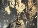 Fields Of The Nephilim - Elizium Vinyl LP