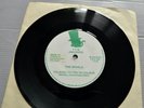 THE MODELS - TALKING TO YOU IN COLOUR - MEOW 1 - RARE PRIVATE PUNK NEW WAVE1981