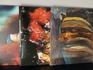 Björk Biophilia, Biophilia Live And Bastards Vinyl Bundle