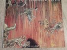 SLAYER Hell Awaits LP 1985 Metal Blade Records banzai Vinyl canada