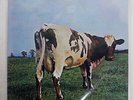 PINK FLOYD ATOM HEART MOTHER ODEON OP-80102 JAPAN VINYL LP