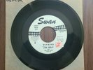 Link Wray and the Ray Men Hang on / Branded Promo 45 Vinyl Swan
