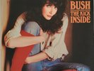 Kate Bush 