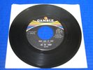 Dee Dee Sharp - What Kind of Lady - Northern Soul 45 Gamble G-219 VG+ VINYL