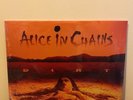 Alice in Chains - Dirt 30th Anniversary Orange 2xLP Vinyl LE 2000 Webstore Excl.