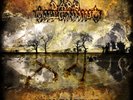 Dark Millennium - Midnight In The Void - Limit. Red-Vinyl-LP - 4028466932822