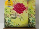 Lambchop - Trip Vinyl LP Pink & Yellow Swirl SEALED Signed