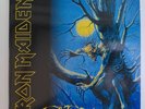 Fear of the Dark by Iron Maiden (Record, 2017)
