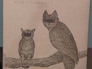 Palindrome Hunches by Neil Halstead LP, new sealed