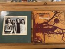 Wishbone Ash vinyl records - Wishbone Four & Pilgrimage 1st pressing usa EX