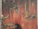 Slayer - Hell Awaits Thrash Metal Proud  Lp Vinyl Record  See Description