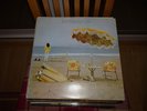 Neil Young On The Beach Vinyl LP