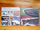 Pavement – Westing (By Musket And Sextant) 1993 LP_1st_NMINT_SEE MORE ITEMS_LPs+