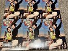 LANA DEL REY - NORMAN FUCKING ROCKWELL LIMITED EXPLICIT DOUBLE GREEN VINYL MINT