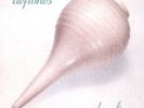 LP DEFTONES 