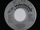 Funk Disco 45 - Pages Of History - Smokin Disco - Saturn - VG+ mp3