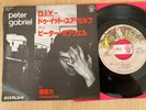 PETER GABRIEL - D.I.Y. / PERSPECTIVE -TOP JAPAN 7