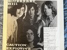 Led Zeppelin - Blueberry Hill 2X Live LP 1975 Wizardo records RARE