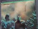 STEELY DAN - Katy Lied MFSL Audiophile in near MINT condition