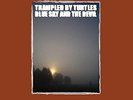 Blue Sky & The Devil - Trampled By Turtles - Brand New LP - Fast Shipping  -