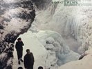 Echo and the Bunnymen - Porcupine LP 1983 Jacksonville Press Sire 1-23770