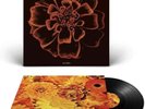 Siouxsie And The Banshees All Souls SIGNED Limited Edition Black Vinyl LP