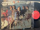 BLUES MAGOOS  Psychedelic Lollipop 1966 mono MG 21096 plays EX