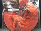 Children of Bodom - Something Wild (Vinyl, LP, Limited Edition, Picture Disc)