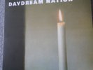 sonic youth daydream nation vinyl