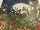 Stereo MC’s - Connected Original vinyl LP