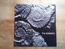 The Sundays Reading Writing Arithmetic A1/B1 1st Press VG Vinyl Record ROUGH148