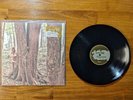 Anthony Green - Beautiful Things *VINYL* circa survive