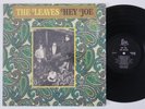 LEAVES Hey Joe RARE orig MONO 1966 US LP in shrink GARAGE psych STUNNING  HEAR