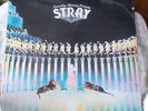 STRAY - SATURDAY MORNING PICTURES 71 BRITISH HARD ROCK QUARTET LONG HAIR SLD LP