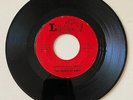 THE RAINDEAR ARMY Illinois GARAGE 45RPM 7
