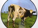 PINK FLOYD ATOM HEART MOTHER PICTURE DISC SHVL 781-P NEAR MINT VERY RARE