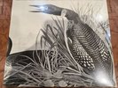 Voices Of The Loon National Audubon Society (Vinyl LP, 1980) - New Sealed