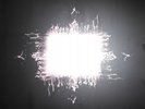 Tool Aenima vinyl