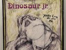 Dinosaur Jr You're Living All Over Me 1987 Vinyl