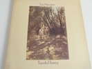 VAN MORRISON - TUPELO HONEY VINYL LP. PLAYS EXCELLENT. K 46114.