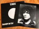 T.Rex SUPERB MINT  Dandy In The Underworld Die Cut Cover First Pressing 1977