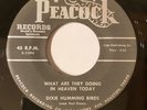 DIXIE HUMMING BIRDS-What are they doing in heaven today/Wading through VG++
