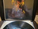 PETE TERRACE & HIS ORCHESTRA BAILA LA PACHANGA ORIG BLACK TICO LABEL PACHANGALP